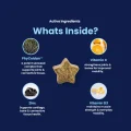 GoActive CHEW - Whats Inside (1)