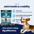 GoActive CHEWS img1 (1)