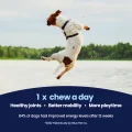 GoActive CHEWS img2 NEW
