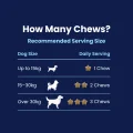 CHEWS - How many (2)