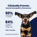 GoActive Proof – 3