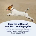 GoActive Supports Joints – 3