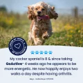GoActive Testimonial – 3