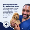 GoActive Vet – 3